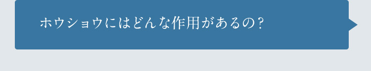 ホウショウにはどんな作用があるの？