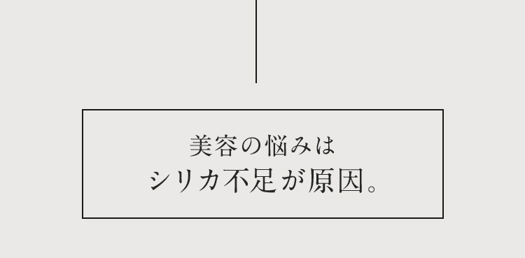美容の悩みはシリカ不足が原因。