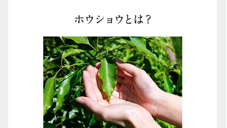 ホウショウとは？